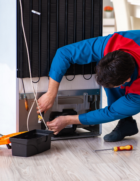 Fridge Repair